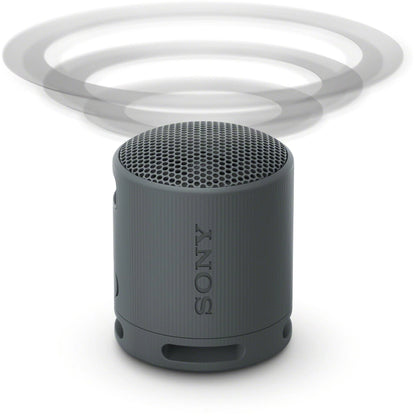 Sony SRS-XB100 Compact Wireless Bluetooth Speaker (Black)